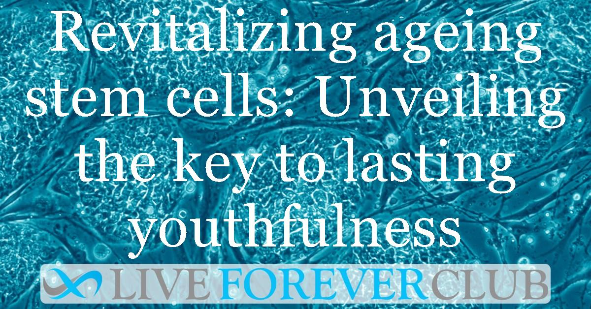 Revitalizing ageing stem cells: Unveiling the key to lasting youthfulness