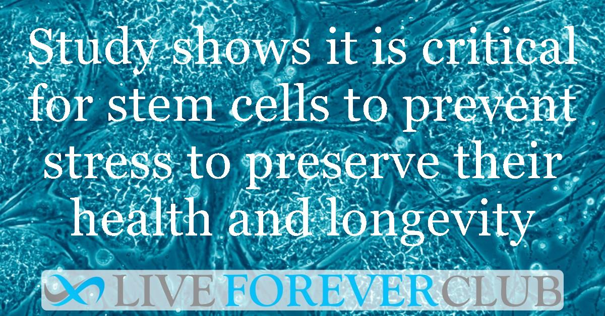Study shows it is critical for stem cells to prevent stress to preserve their health and longevity