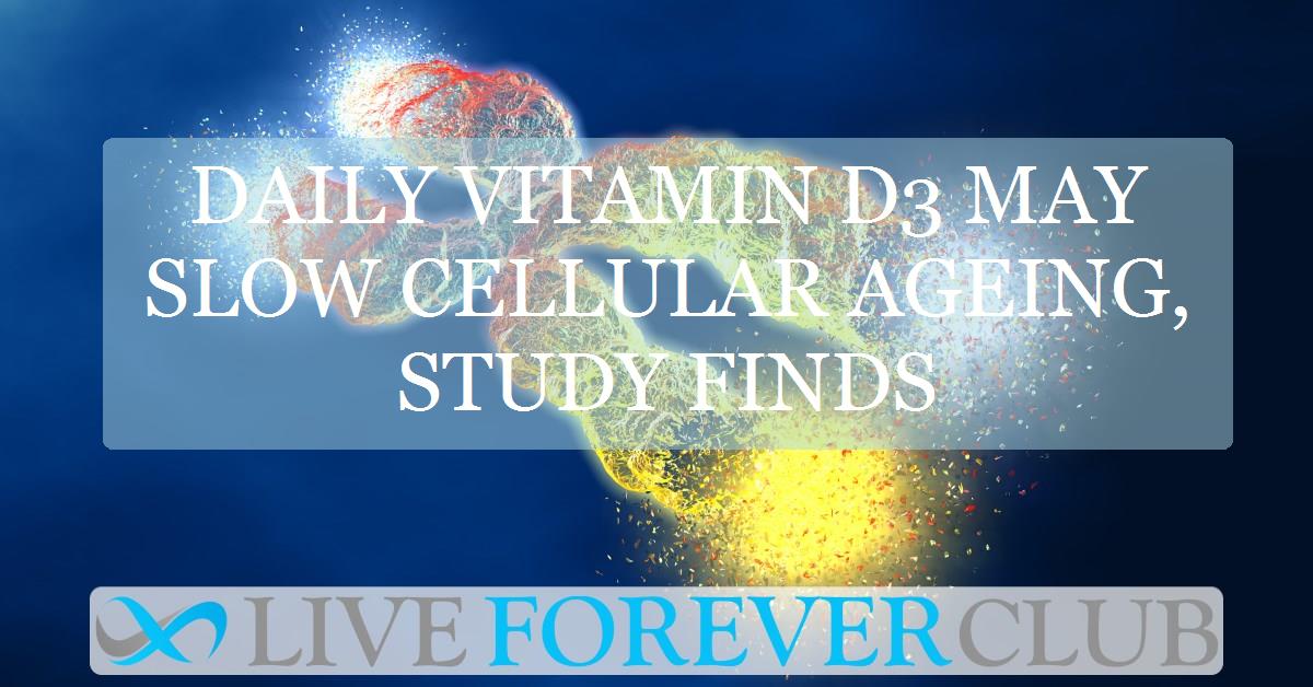 Daily vitamin D3 may slow cellular ageing, study finds