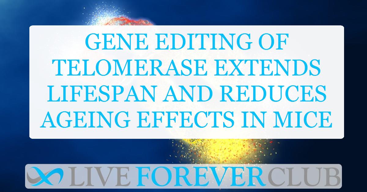 Gene editing of telomerase extends lifespan and reduces ageing effects in mice