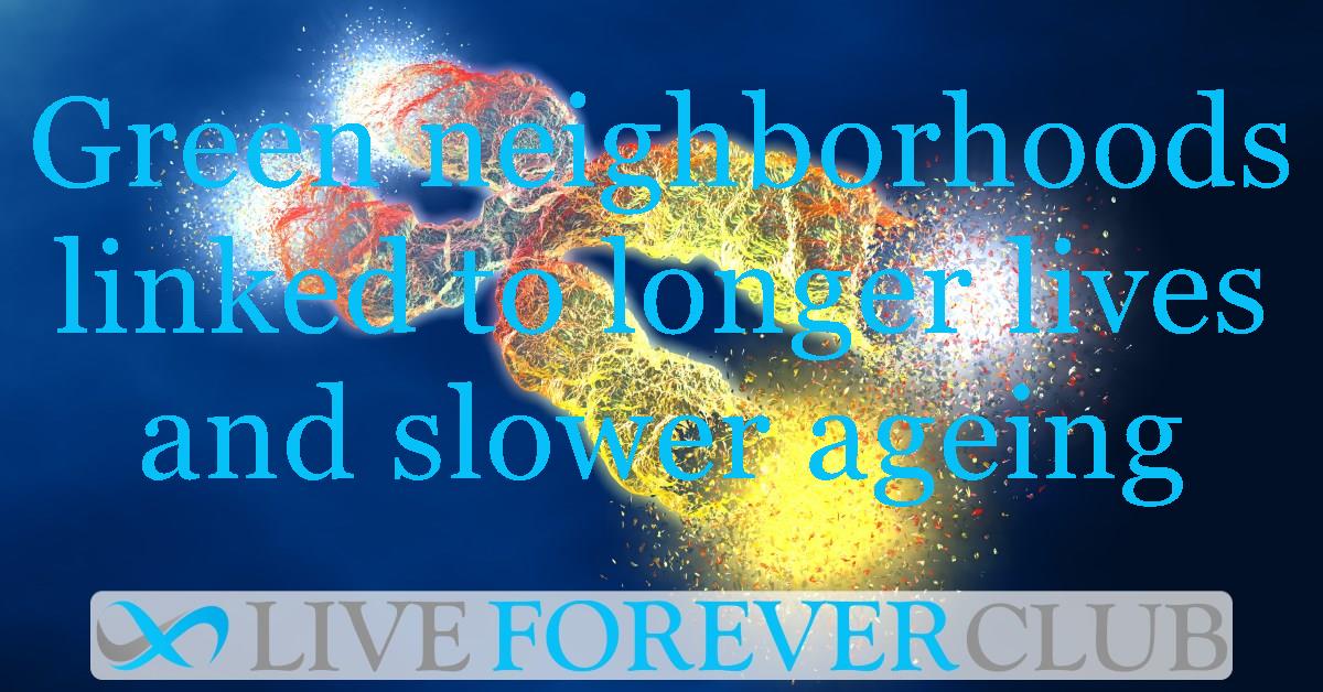 Green neighborhoods linked to longer lives and slower ageing