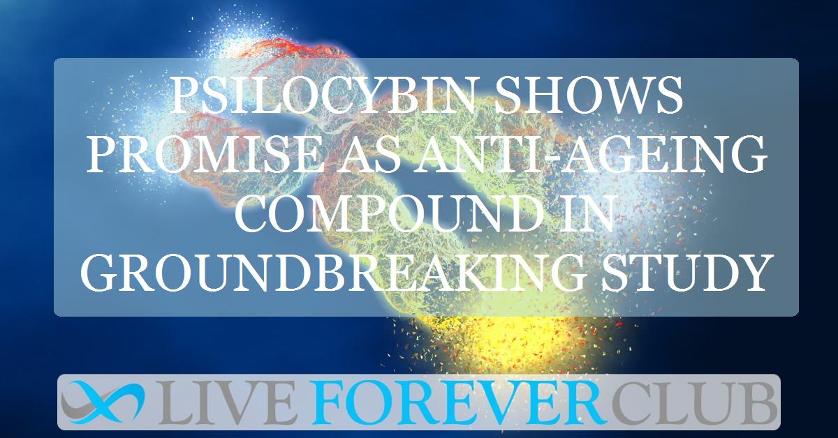 Psilocybin shows promise as anti-ageing compound in groundbreaking study