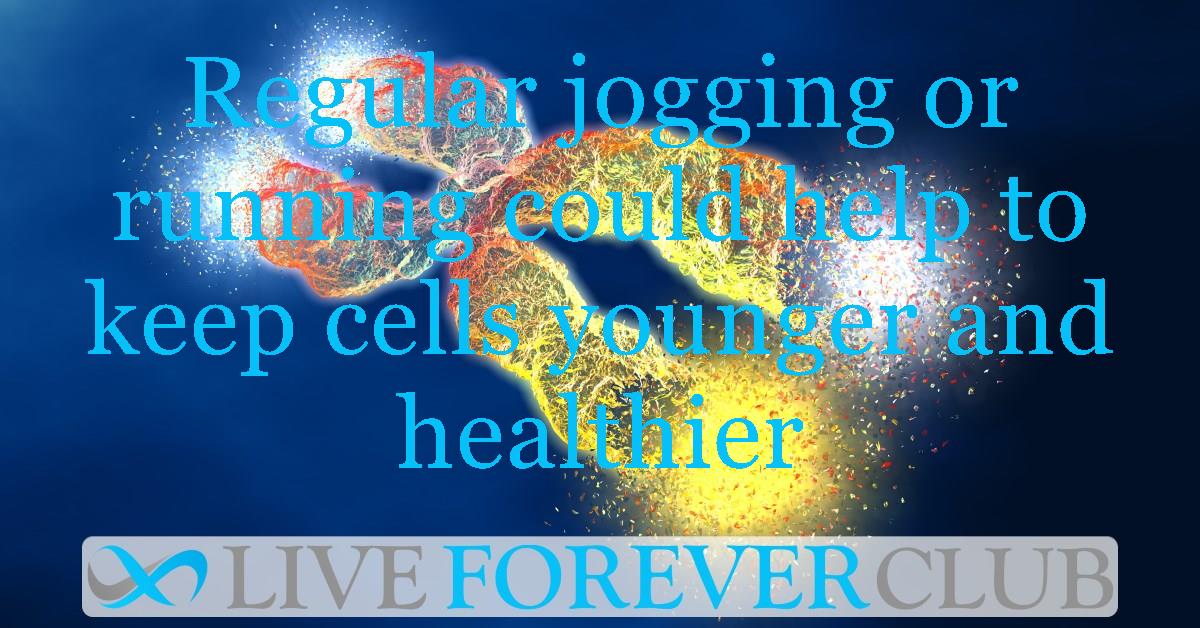 Regular jogging or running could help to keep cells younger and healthier