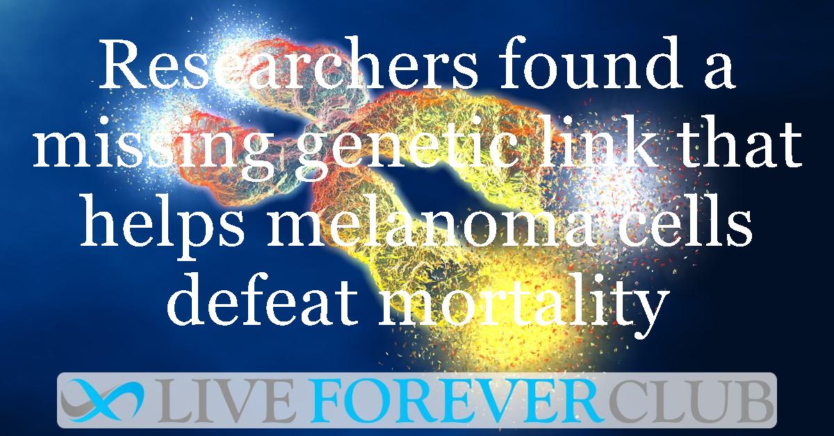 Researchers found a missing genetic link that helps melanoma cells defeat mortality