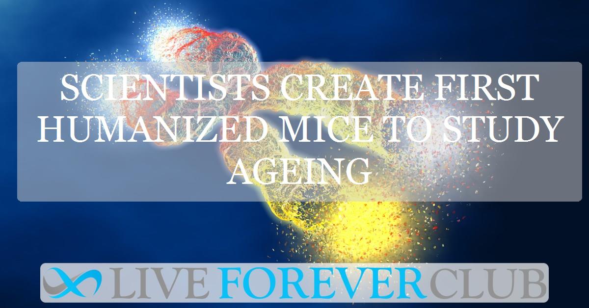 Scientists create first humanized mice to study ageing