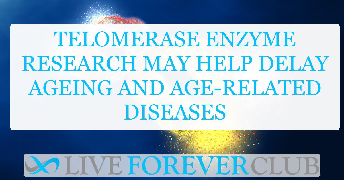 Telomerase enzyme research may help delay ageing and age-related diseases