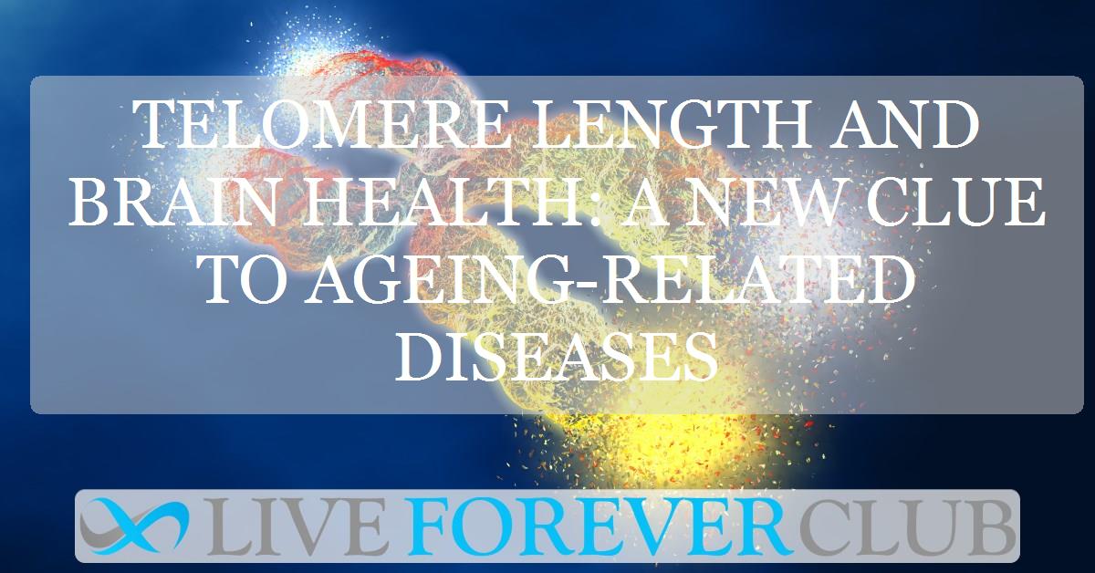 Telomere length and brain health: A new clue to ageing-related diseases