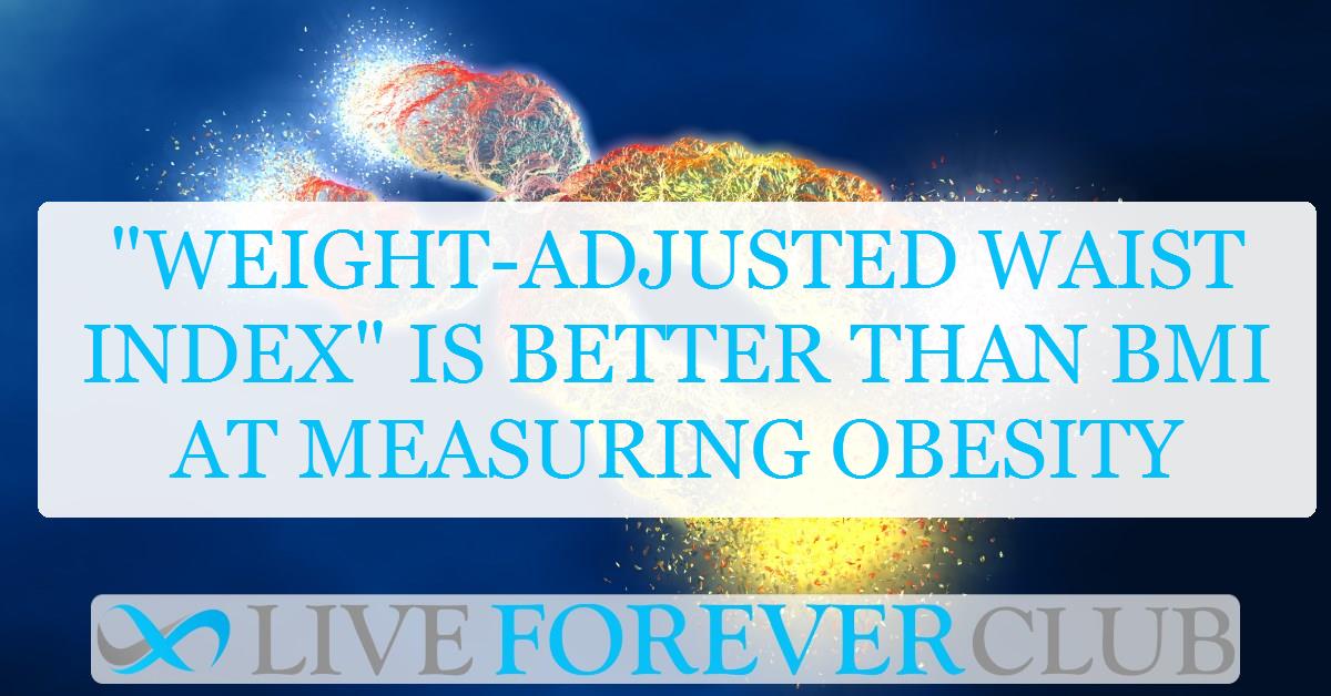 "Weight-adjusted waist index" is better than BMI at measuring obesity