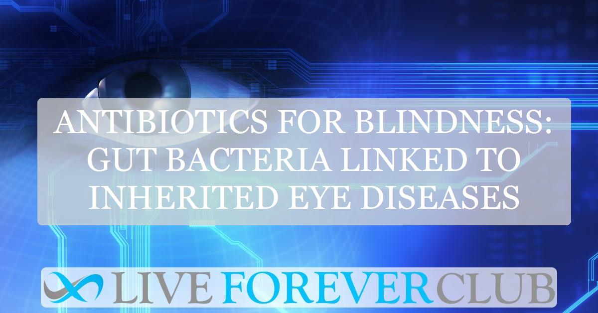 Antibiotics for blindness: Gut bacteria linked to inherited eye diseases