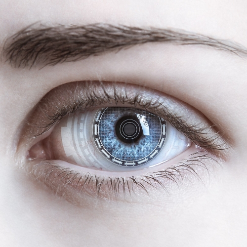 Argus II retinal implant trials successful