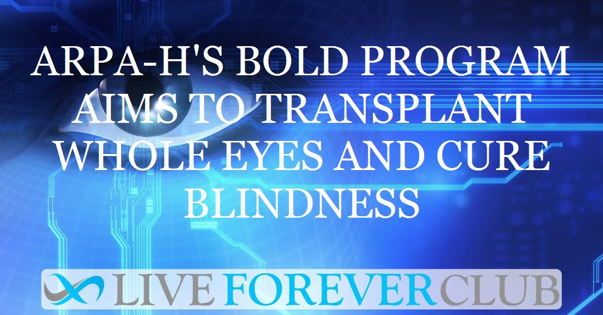 ARPA-H's bold program aims to transplant whole eyes and cure blindness