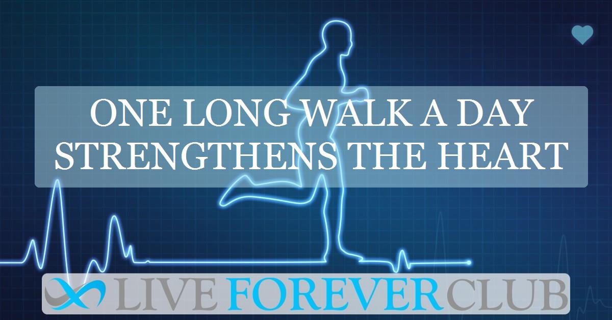 One long walk a day strengthens the heart