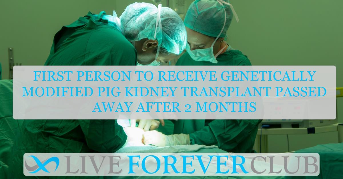 First person to receive genetically modified pig kidney transplant passed away after 2 months