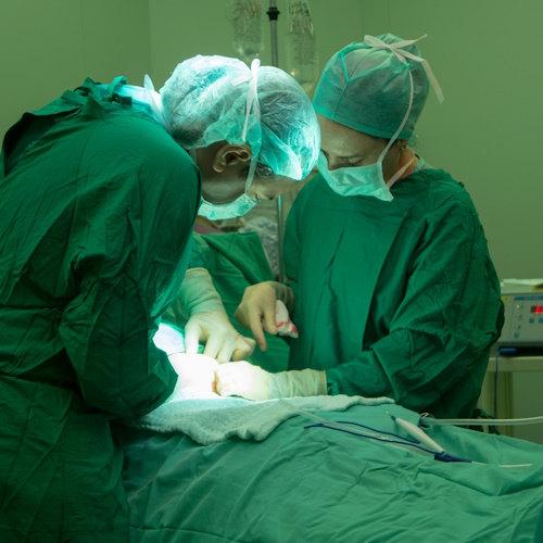 First pig liver transplant in a living human