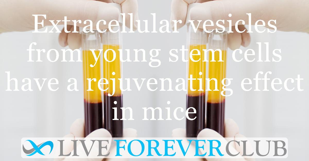 Extracellular vesicles from young stem cells have a rejuvenating effect in vitro and in vivo in mice