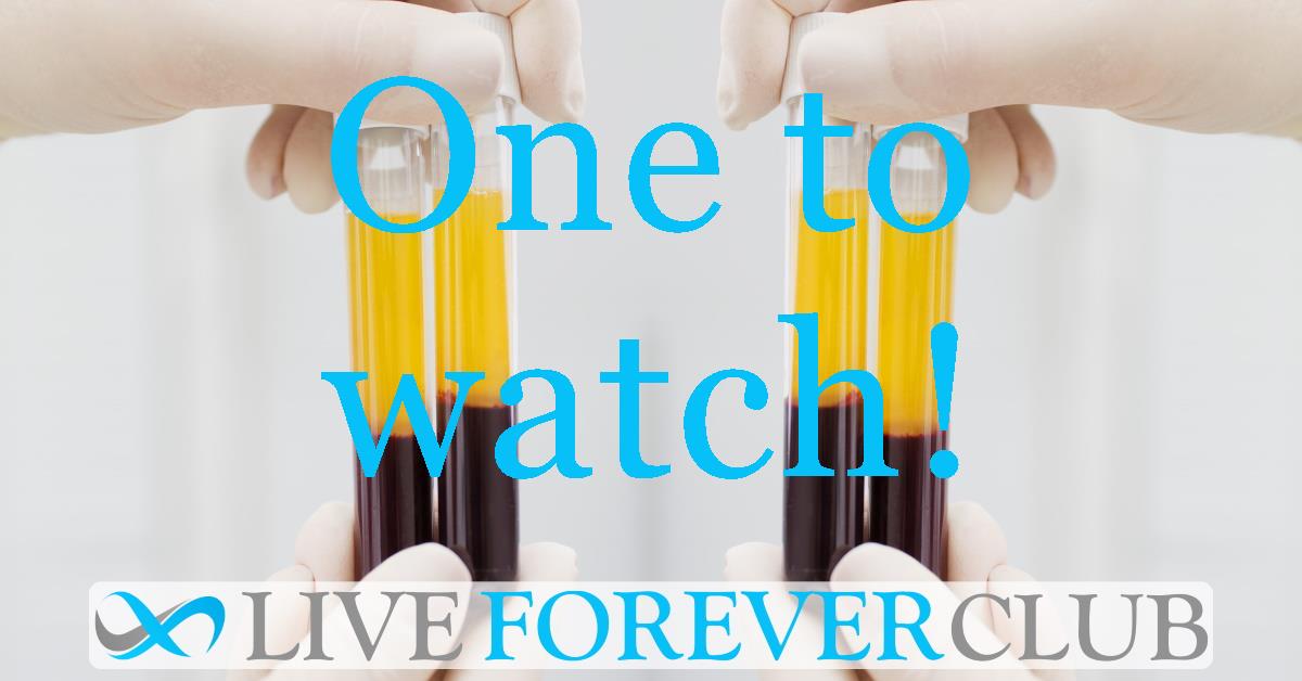 Josh Mitteldorf stakes his reputation on major rejuvenation in a mammal