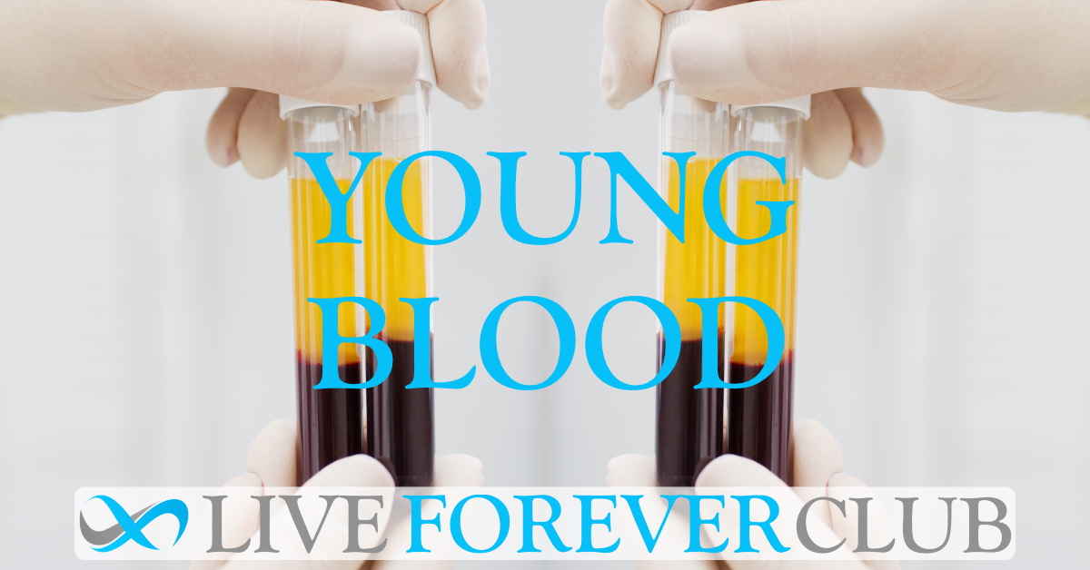 Young Blood