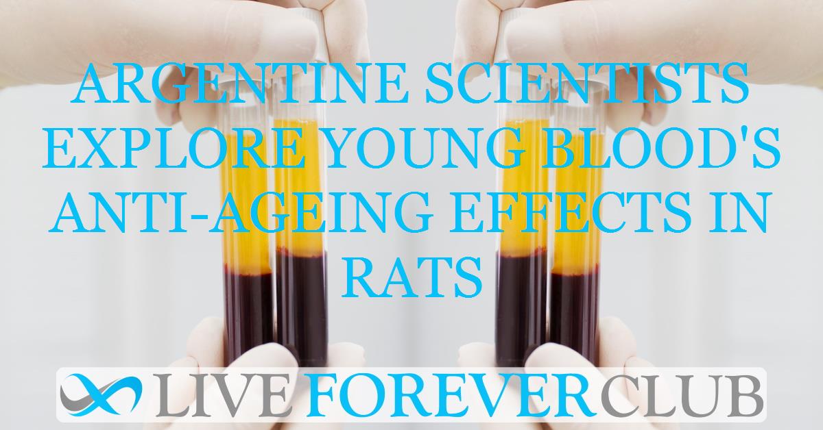 Argentine scientists explore young blood's anti-ageing effects in rats