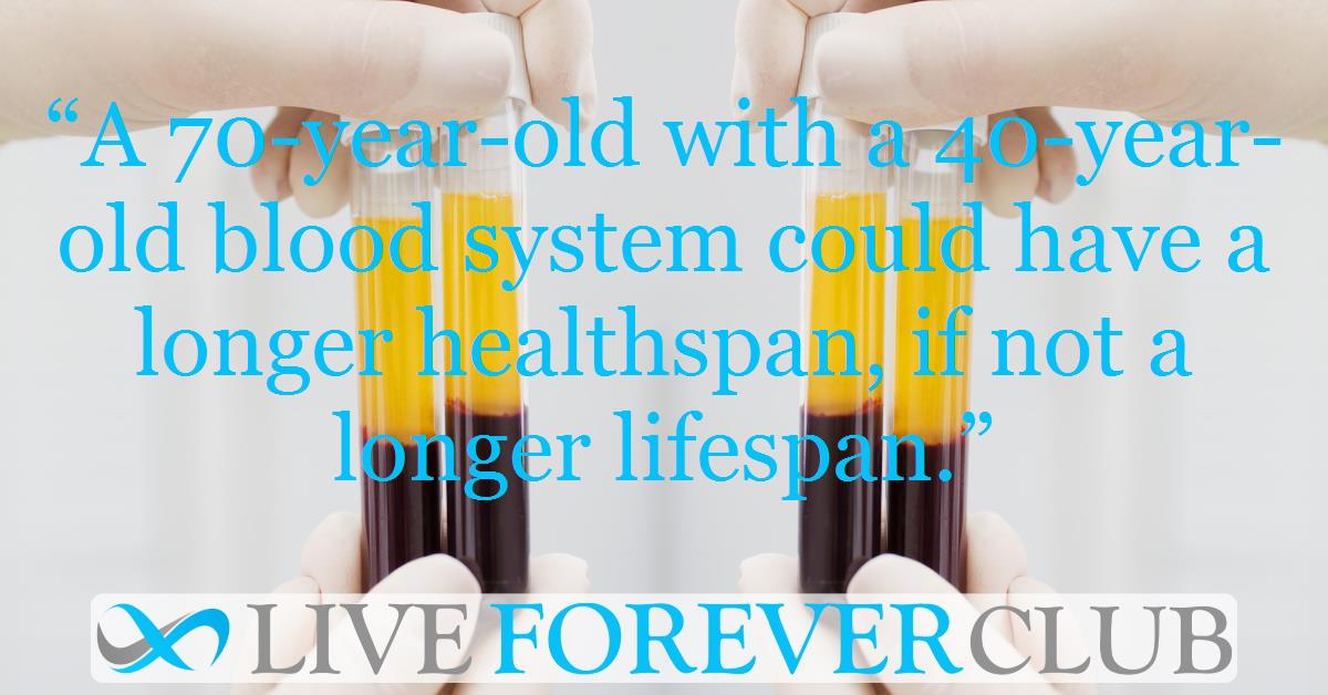 Rejuvenating blood stem cells can help older adults live younger and healthier