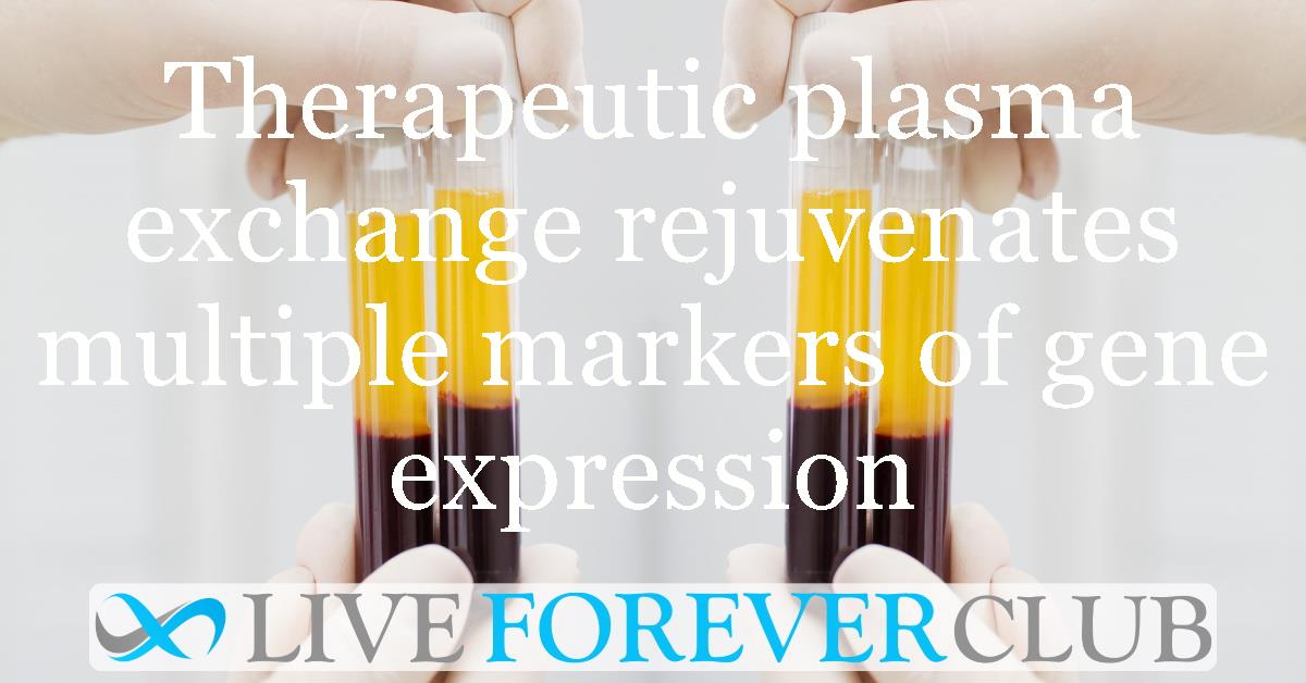 Therapeutic plasma exchange (TPE) rejuvenates multiple markers of gene expression