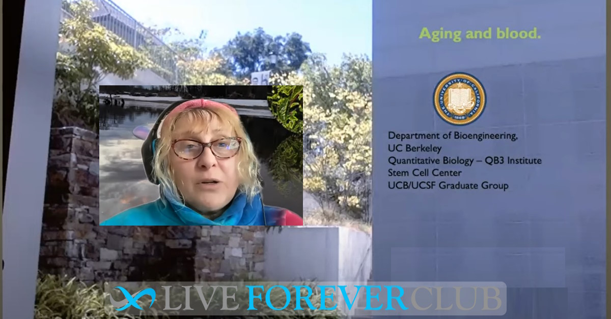 Aging and Blood - Irina Conboy presentation for SENS Research Foundation