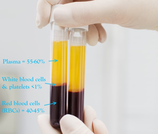 Blood composition - RBC, plasma, white blood cells