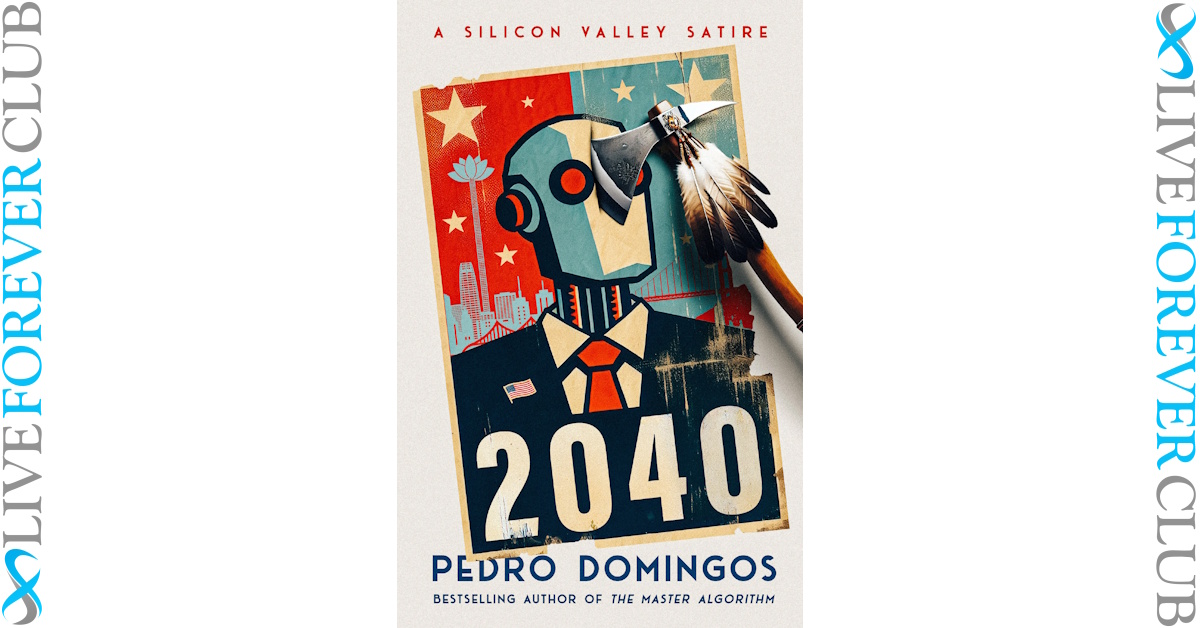 2040: A Silicon Valley Satire book