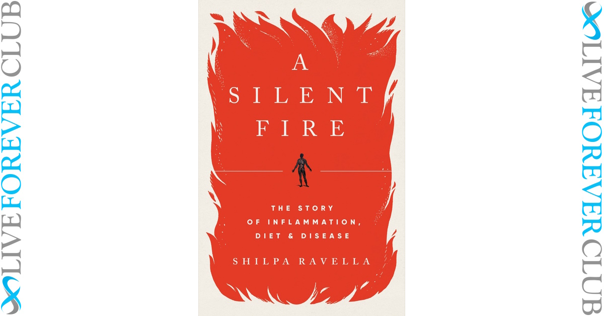 A Silent Fire book