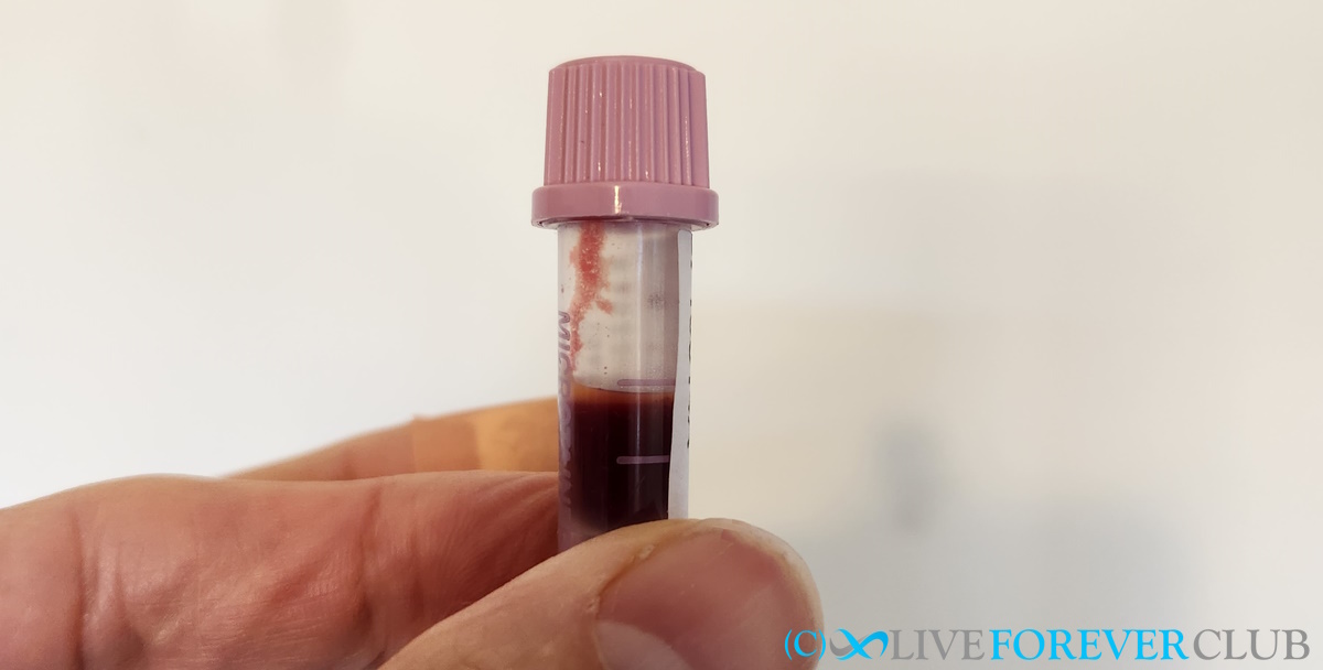 clock foundation sample