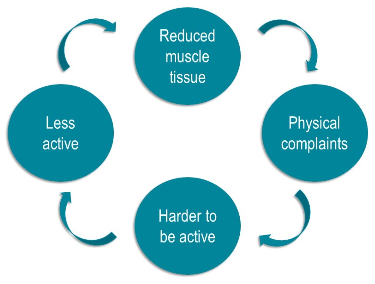 vicious circle of frailty