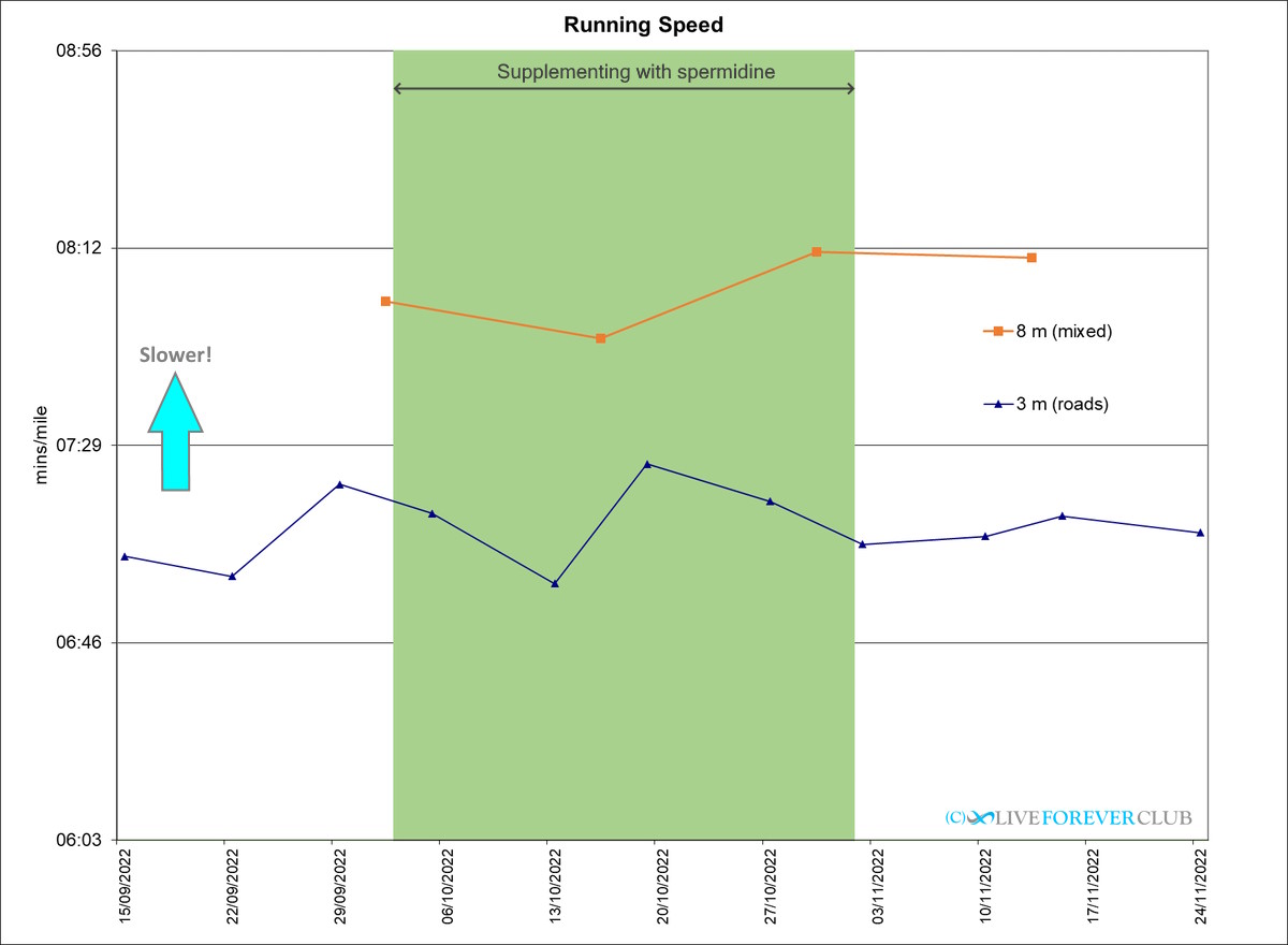 running spermidine result