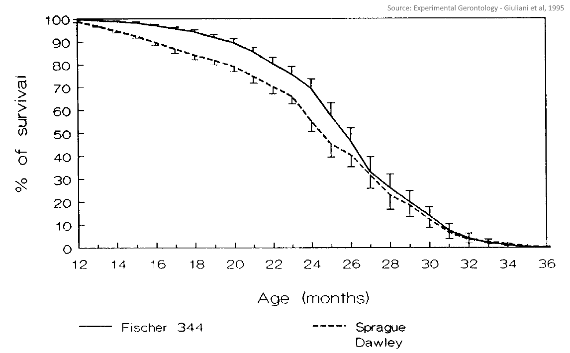 survival curve of laboratory rats